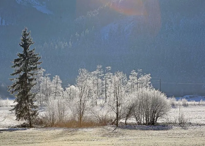 アパート Hager ゴーザウ