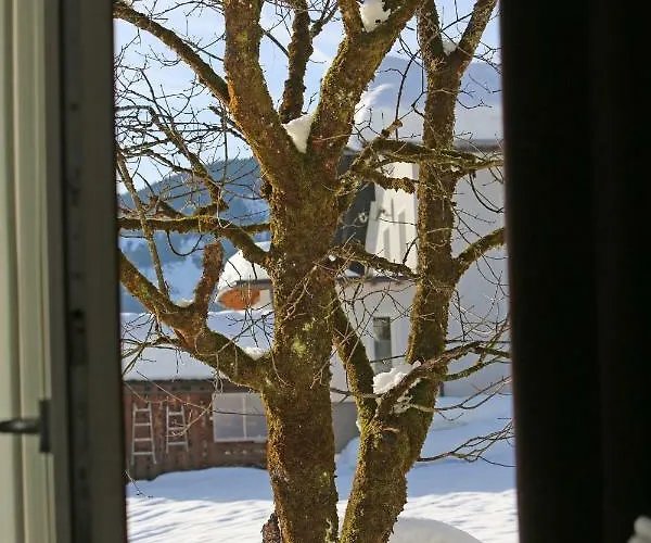 アパート Hager ゴーザウ